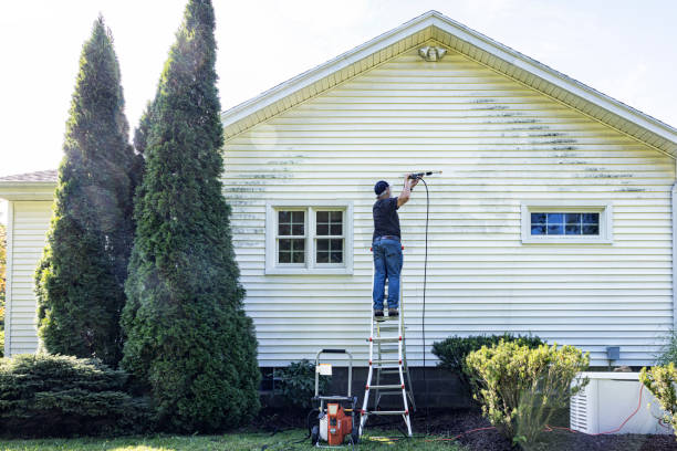 Best Driveway Pressure Washing  in Point Lookout, NY